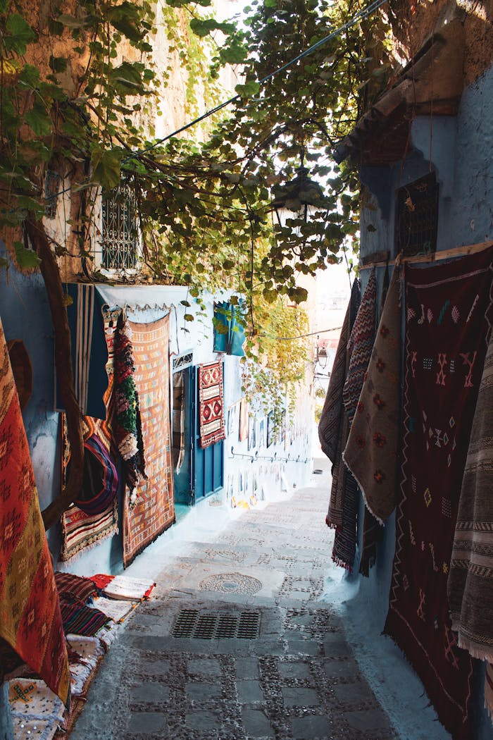 our-experience Picturesque narrow alley with vibrant rugs in the blue city of Chefchaouen, Morocco.